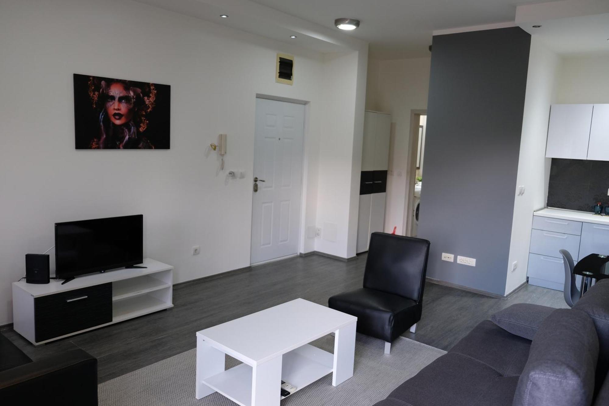 Ring Inn Apartments Obrenovac  部屋 写真